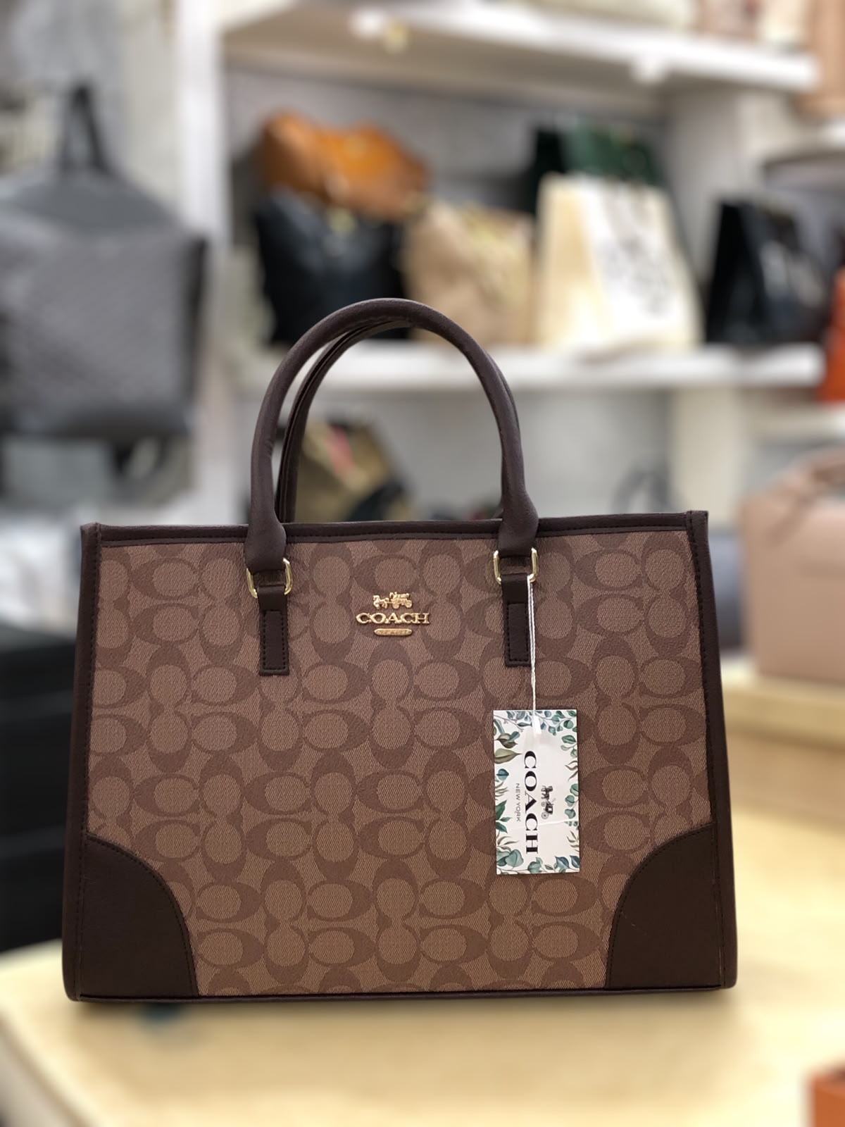 Coach Signature Print Tote Bag for Women