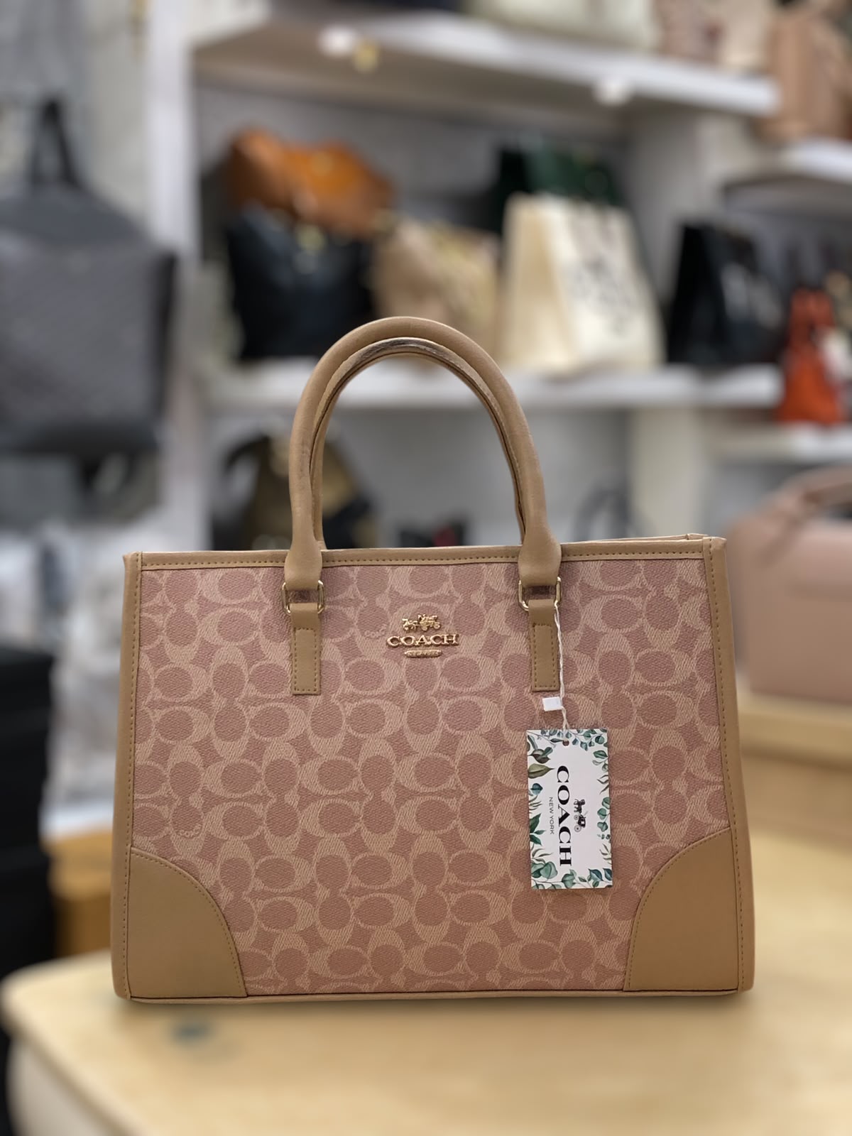 Coach Signature Print Tote Bag for Women